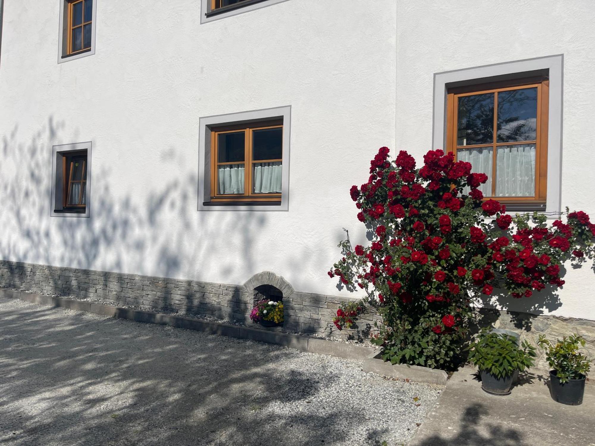 Apartment Ganzer